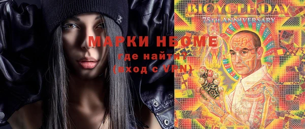 хмурый Пестово