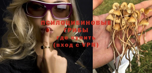 ПСИЛОЦИБИНОВЫЕ ГРИБЫ Покров