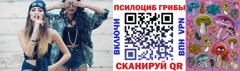 Галлюциногенные грибы мицелий  Баксан 