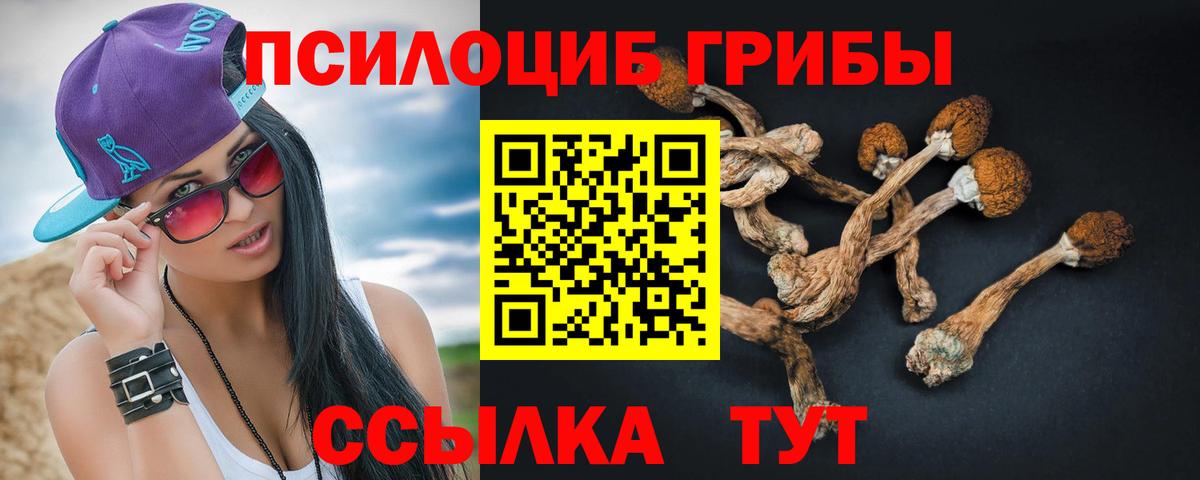 Псилоцибиновые грибы Magic Shrooms Баксан