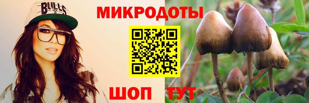 Псилоцибиновые грибы Psilocybine cubensis  купить закладку  Баксан  Вход с VPN 