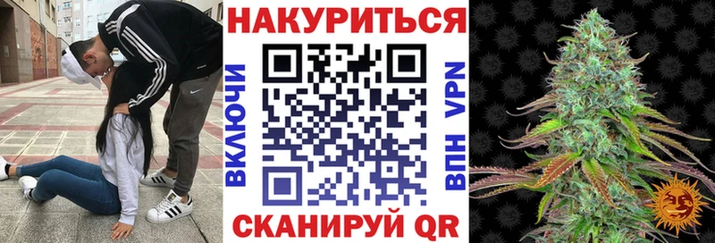 купить  сайты  Баксан  Конопля OG Kush 